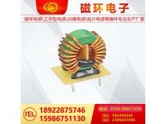 磁環(huán)電感12