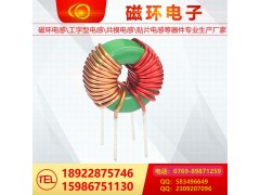 磁環(huán)電感13