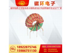 磁環(huán)電感18