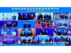 RCEP 帶給中國電池企業的機遇與挑戰
