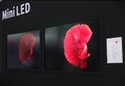 聚焦LED應用全場景， 2022深圳國際全觸與顯示展解鎖行業新航向